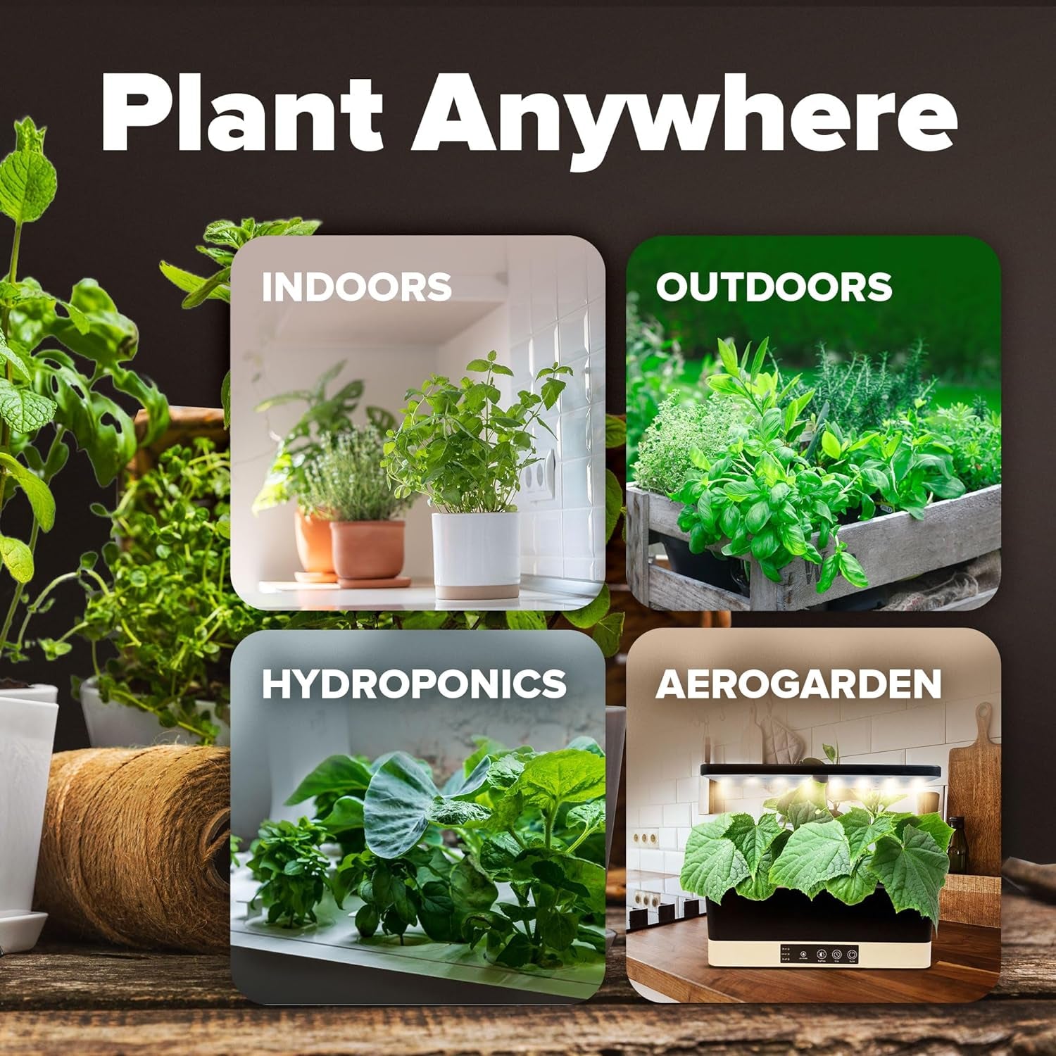 Premium Usa-Grown Vegetable Seeds - 10 Variety Pack with 2,000+ Non-Gmo Heirloom Seeds for Planting - Garden Vegetable Seeds for Indoor & Outdoor Planting - Survival Seed Vault Kit